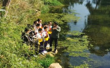 实践课学习心得体会8篇