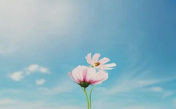 十年以后作文8篇