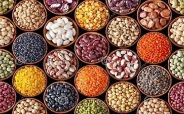 食物的科学教案5篇