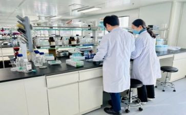 实验室月工作总结模板7篇