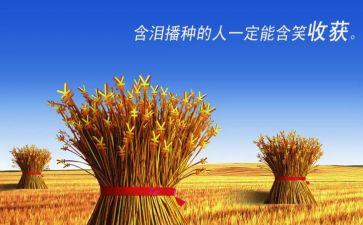 暑假收获心得7篇