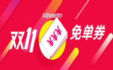我的双11作文模板6篇