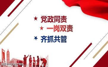 局一岗双责工作报告7篇