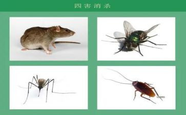 社区灭四害工作总结7篇