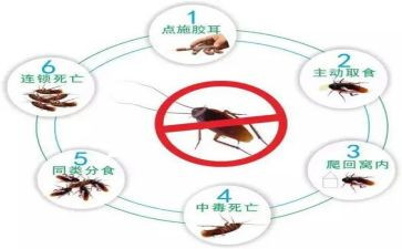 社区灭四害工作计划6篇