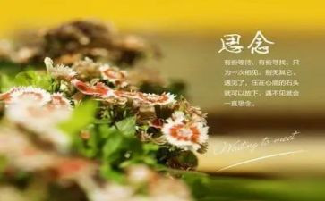 我思念你我的作文5篇