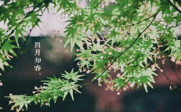 人间四月天作文5篇