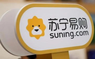 苏宁工作总结8篇