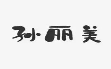 向孙丽美学习心得6篇