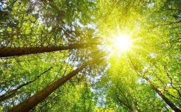 音乐《太阳》教案7篇