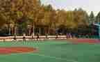 小学田径活动方案7篇