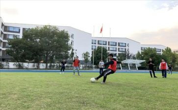 2023年体卫艺工作计划5篇