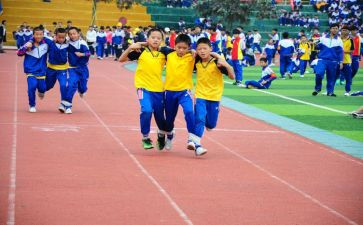 2023幼儿体育活动总结7篇