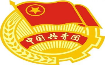 团干部的个人总结5篇