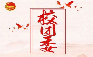 团委工作总结优秀6篇