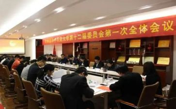 团委会竞选演讲稿5篇