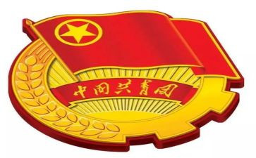 团章的心得5篇