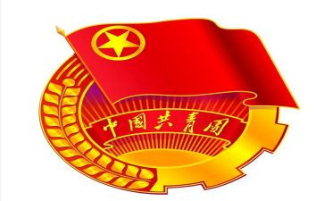 村团支部年终总结最新5篇