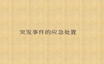 突发事件应急预案范文8篇