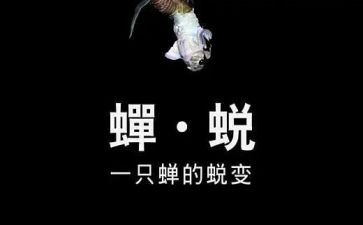 蜕变的作文7篇
