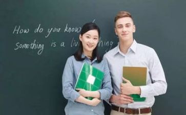 对外教学教案8篇