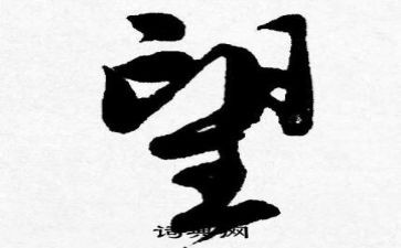 我最盼望的那一天作文7篇