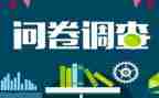 问卷的调查报告6篇