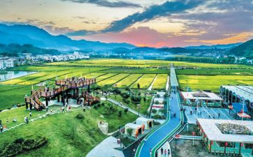 市文旅工作总结8篇