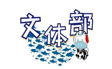 县文体活动总结6篇