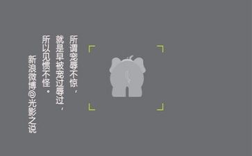 文字的年终总结6篇