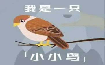 快乐小鸟的教案推荐8篇