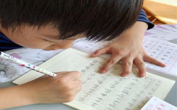 我想变成作文优质5篇