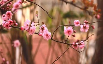 我在变作文优质5篇