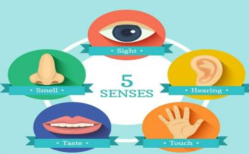 五官优秀作文参考7篇