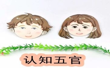 五官的作文优质5篇