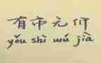 2024的演讲:无价演讲稿5篇