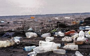 环境和污染的作文6篇