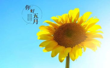 五月一活动方案8篇