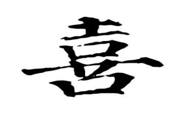 我最喜欢的猫作文300字5篇