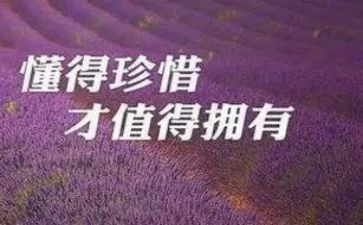 关于珍惜粮食的演讲稿6篇