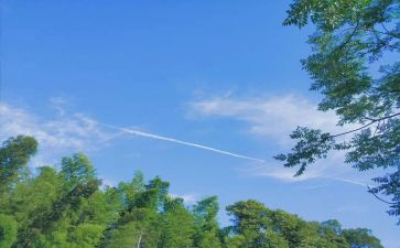 夏洛的网《夏洛》读后感通用6篇