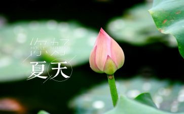 夏洛的网的网读后感最新8篇