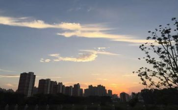 一年级下班主任工作计划6篇