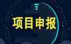 项目部元旦活动方案策划7篇