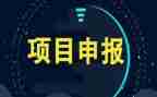 项目年终总结2023年个人范文7篇