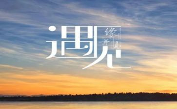 相遇类作文精选6篇