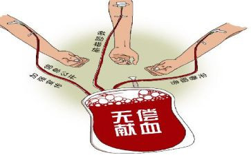 献血活动总结6篇