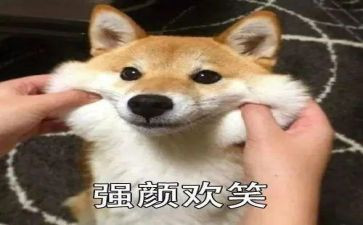 你笑了作文300字5篇