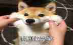 以笑为题的作文优秀5篇