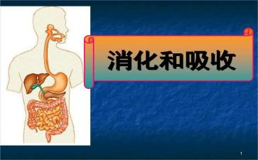 消化科工作总结5篇
